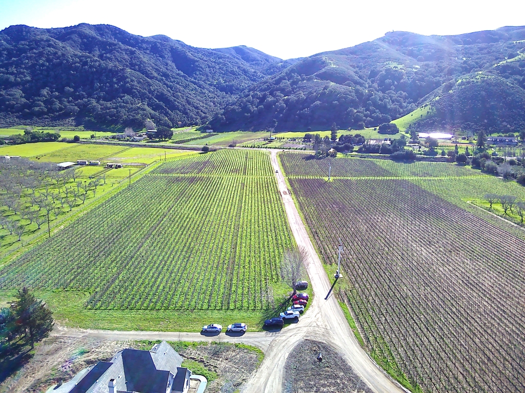 Santa_Barbara_Winery_CA_Radius_Commercial_Real_Estate_Business_For_Sale_12